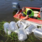 SANYO DIGITAL CAMERA