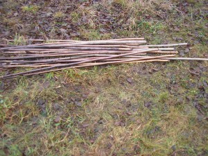 SANYO DIGITAL CAMERA