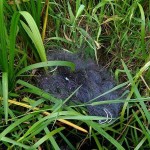 received_288853034837904