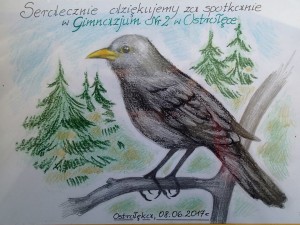 18951512_802684343227629_8066753177086377651_n