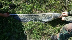 19859246_1061086490687912_1543194416_o