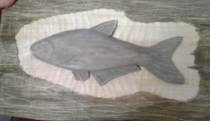 20171016_141116-crop