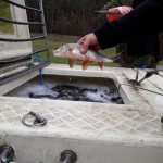 75580180_433838223943498_5949510623950798848_n