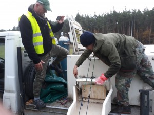 76655346_437786690214074_7702144334858027008_n