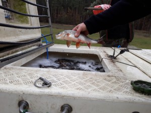 75580180_433838223943498_5949510623950798848_n