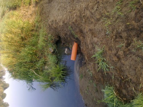 11949412_495965117246603_11942562838031755_n