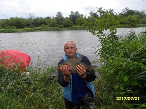 19657082_1905589573047442_6288568474827486845_n