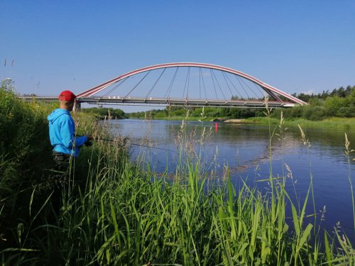 206846332_874653846779947_6602869256043138218_n