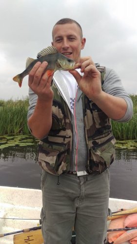 21641336_520040078332416_520474004_n