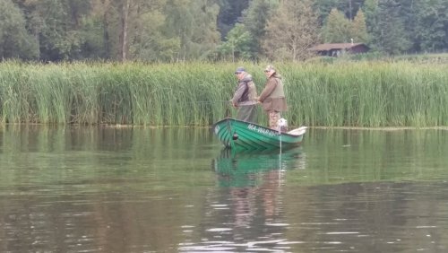 21844087_520040058332418_225878004_o