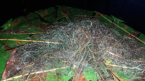 22140192_609583472764857_2035134433_o