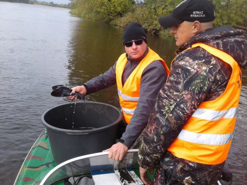 22323025_1946550602262524_1744399865_n