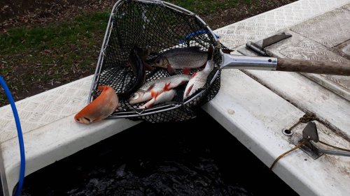 23107452_624355154621022_1598225377_o