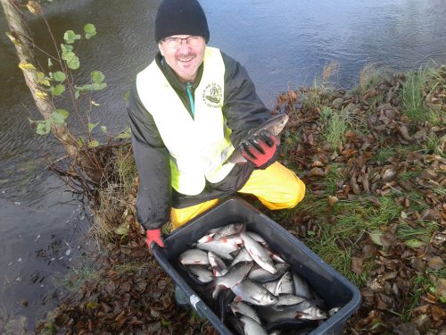 23140183_1956311304619787_1837166105_n