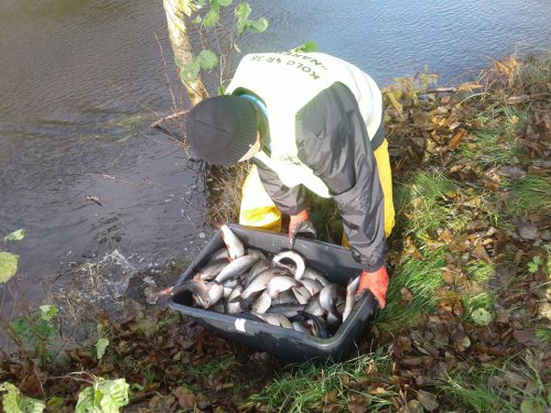 23140552_1956311441286440_918398753_n