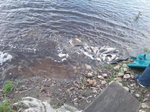 23163752_1956311544619763_1346693043_n