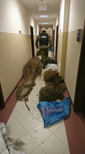 23231820_1956086298051011_213388773_n