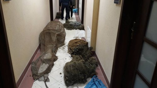 23314249_626541951069009_1961447096_o