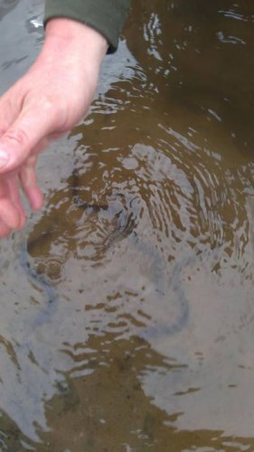 32658066_2157710451141857_1656963718115753984_n