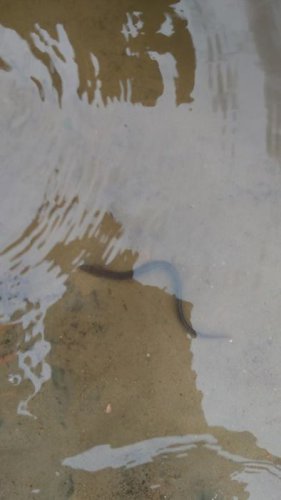 32674547_2157710397808529_3353393392498245632_n