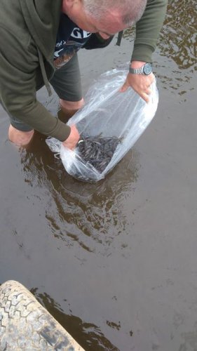 32696535_2157710127808556_2769359921362239488_n