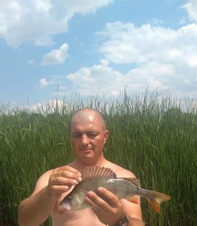 35415997_2176398722606363_4506496810444914688_n