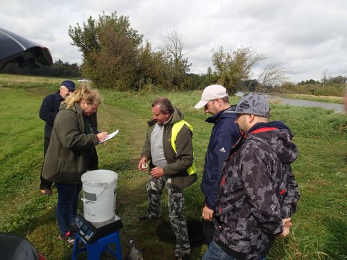 42346106_1111447612351299_311413162211540992_n