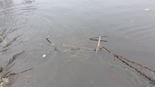 53136647_935703733286813_5366246798069334016_n