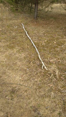 53314549_805526403145263_1495655582680481792_n