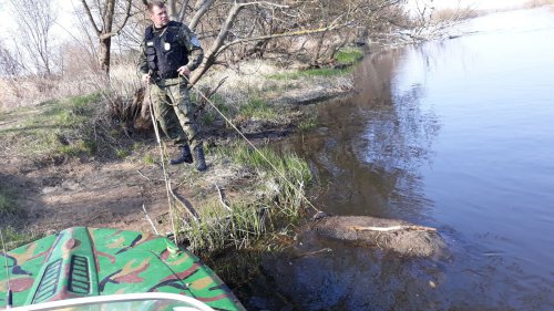 56306716_405255306720930_5030977274371899392_n