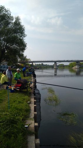 60247038_1262143690615023_3892551640871337984_n