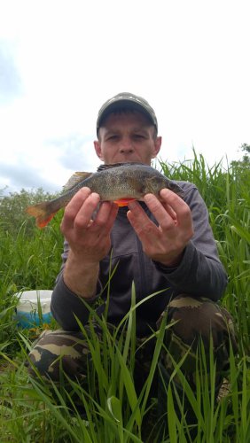 61187628_709952589436193_2146079833644335104_n